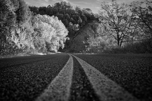 Scenic empty road through Weaver, MN countryside in black and white, highlighting nature's serenity.