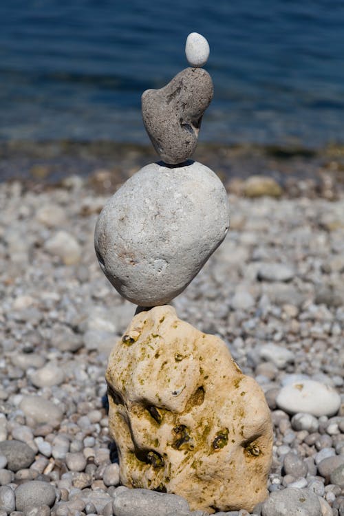 Close-Up Shot of Rocks on the Beach Shore