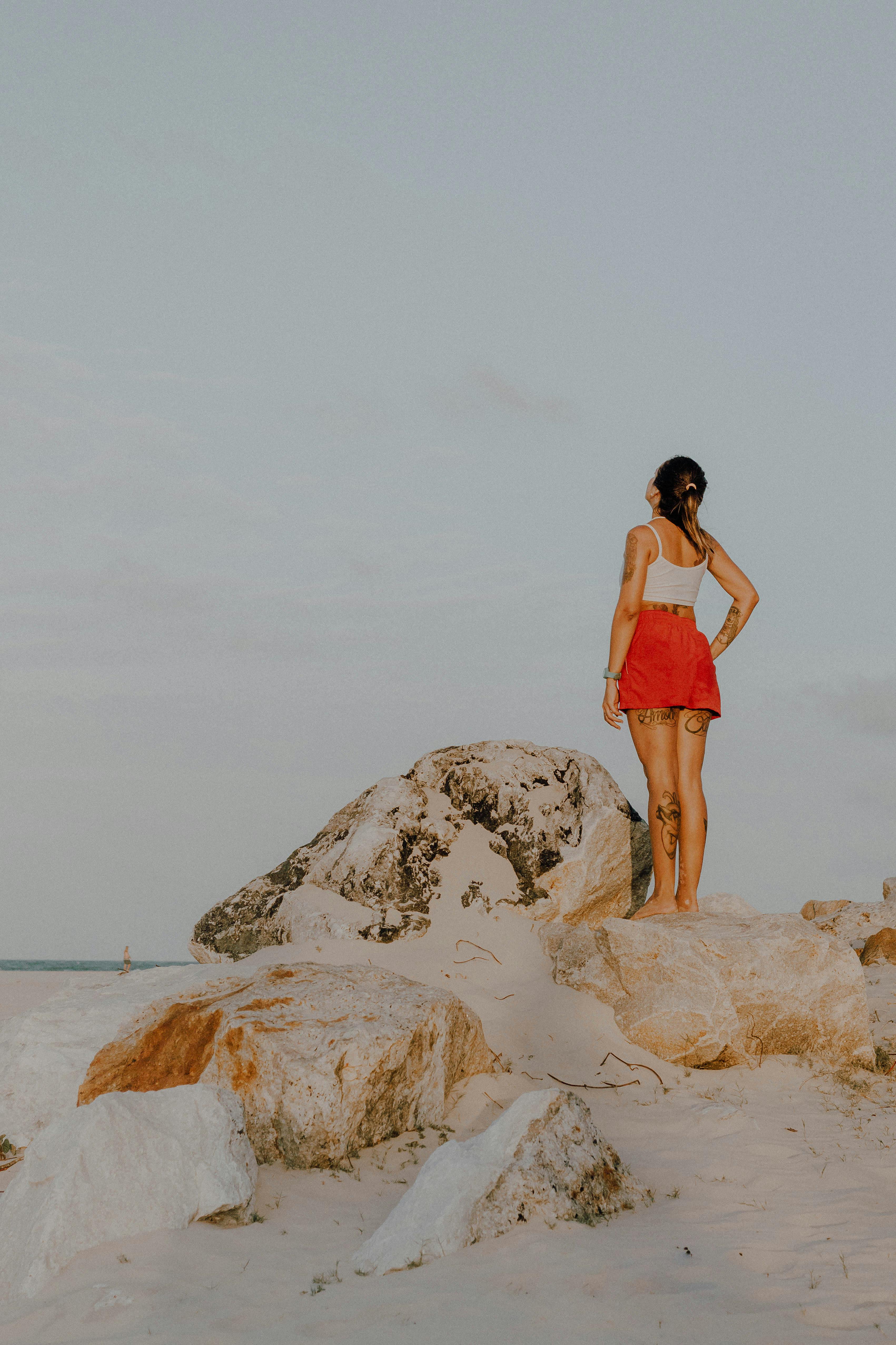 bezplatná Základová fotografie zdarma na téma bokeh, brazílie, brazilský Základová fotografie