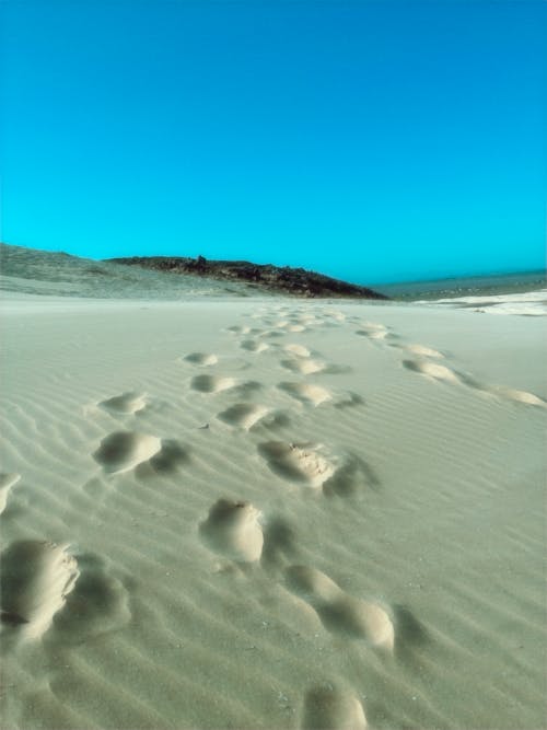Footprints in Sand on the Beach 