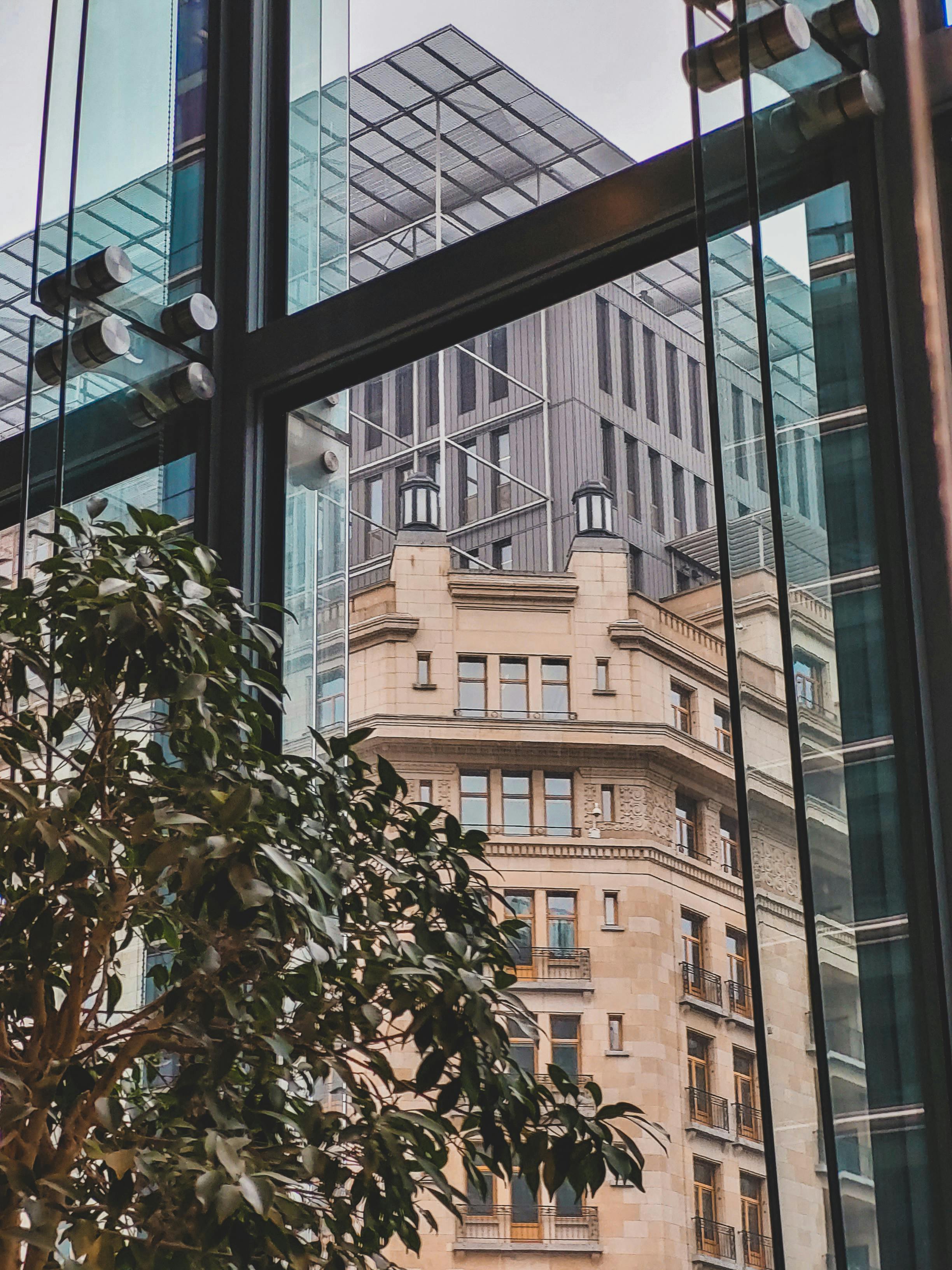 Which country is famous for cinnamon?