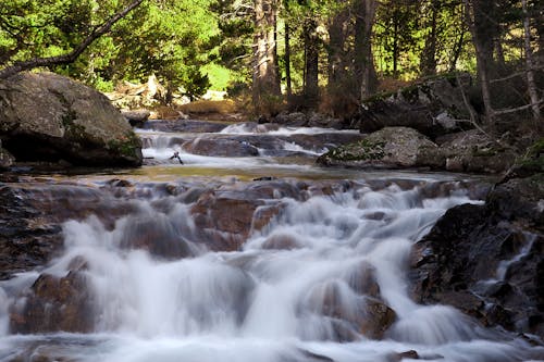 Kostenloses Stock Foto zu bäume, felsen, fließendes wasser