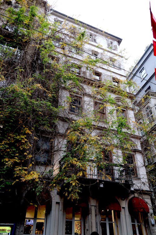 Kostnadsfri bild av arkitektur, café preto, galata