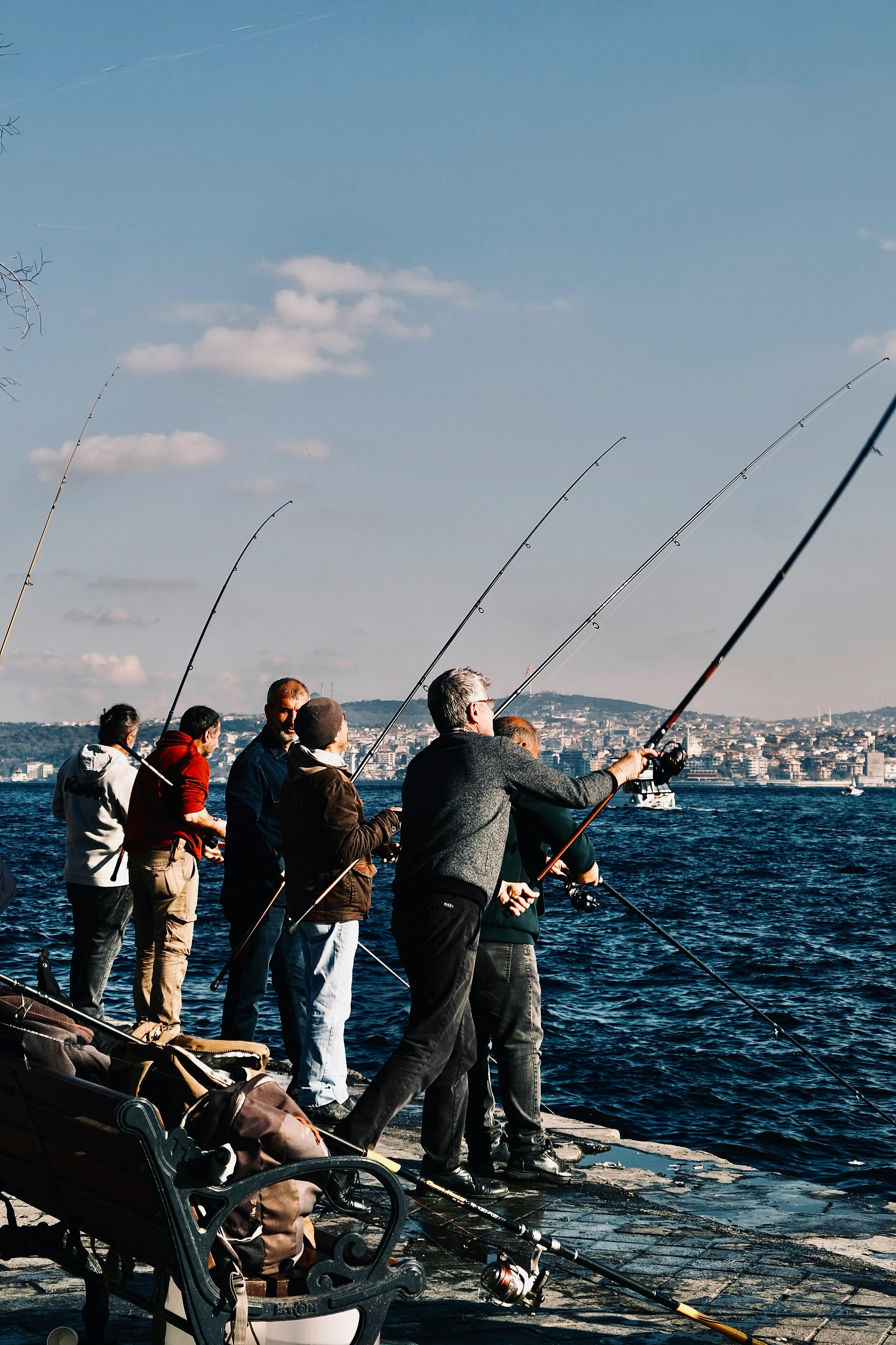 Men with Fishing Rods in Bay · Free Stock Photo