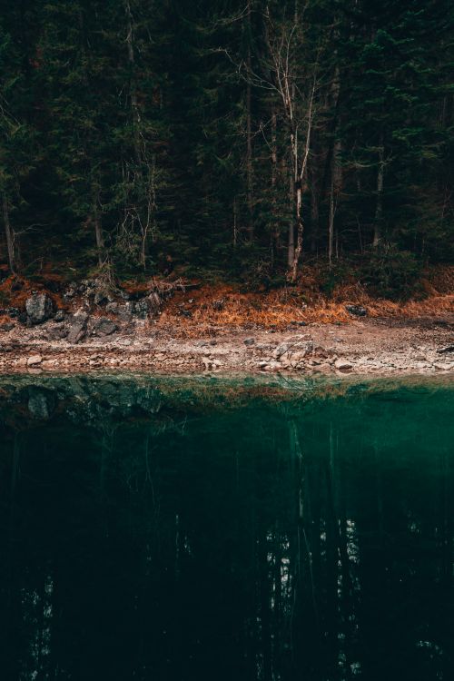 Free Peaceful forest and lake scene capturing the transition to fall with rich colors. Stock Photo