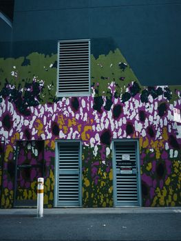 Colorful graffiti art covers a wall with modern shutters on an urban street, offering vibrant street art visuals.