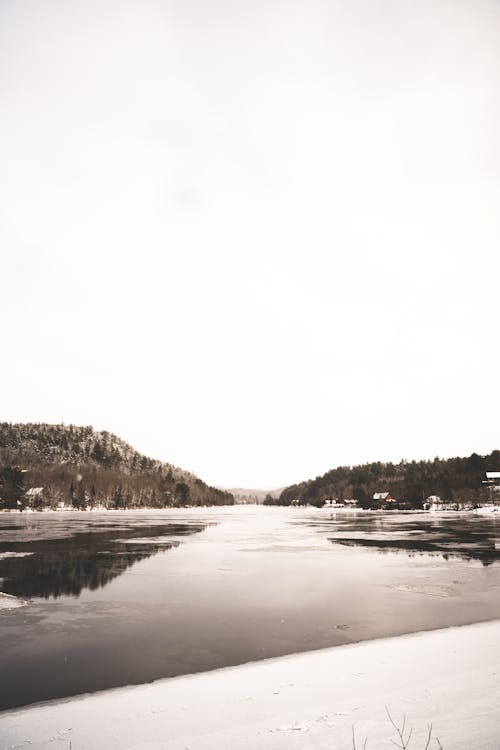 Immagine gratuita di congelato, fiume, freddo