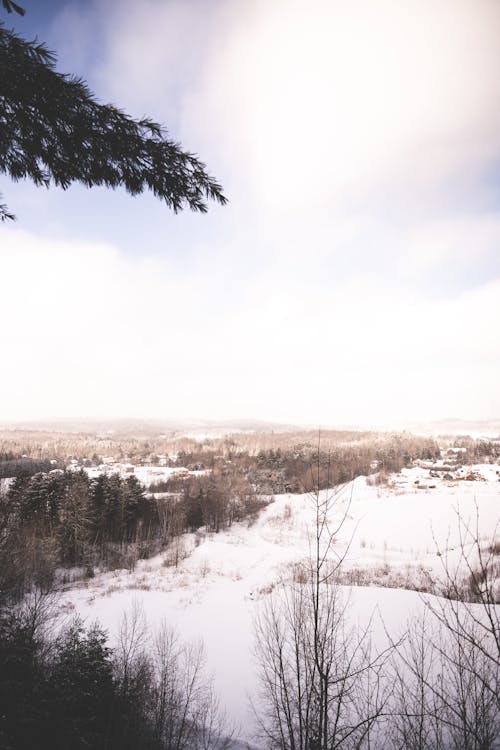 冬季, 垂直拍摄, 景觀 的 免费素材图片