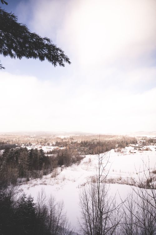 Free Tranquil winter landscape with snow-covered fields and trees under a clear sky. Stock Photo