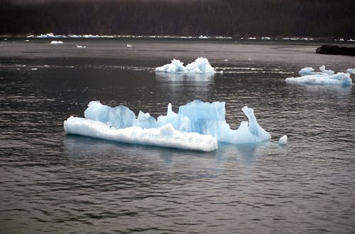 Gratis stockfoto met ijsberg