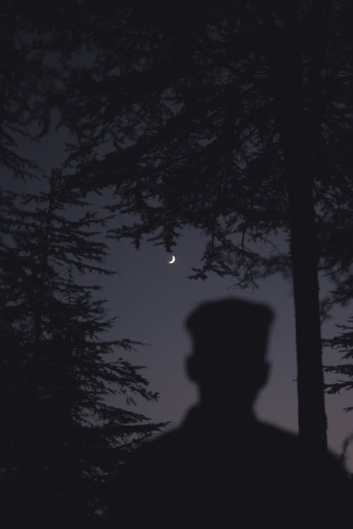 Silhouette of a Man in the Forest Looking at the Moon