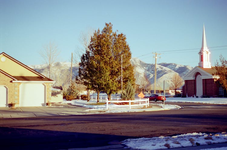 Tree Near The House During Winter