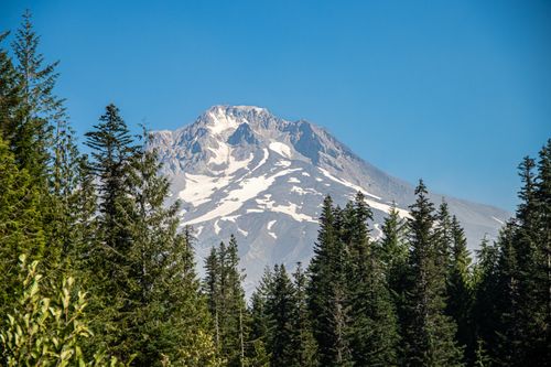 Free Breathtaking view of Mount Hood's snowcapped peak surrounded by lush evergreen forest in Oregon. Stock Photo