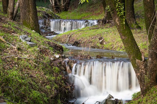 Foto profissional grátis de água corrente, árvores, cascatas