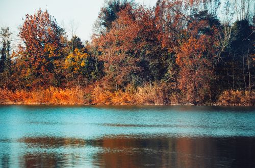 Free Stunning autumn scenery with vibrant foliage and calm lake waters reflecting colorful trees. Stock Photo