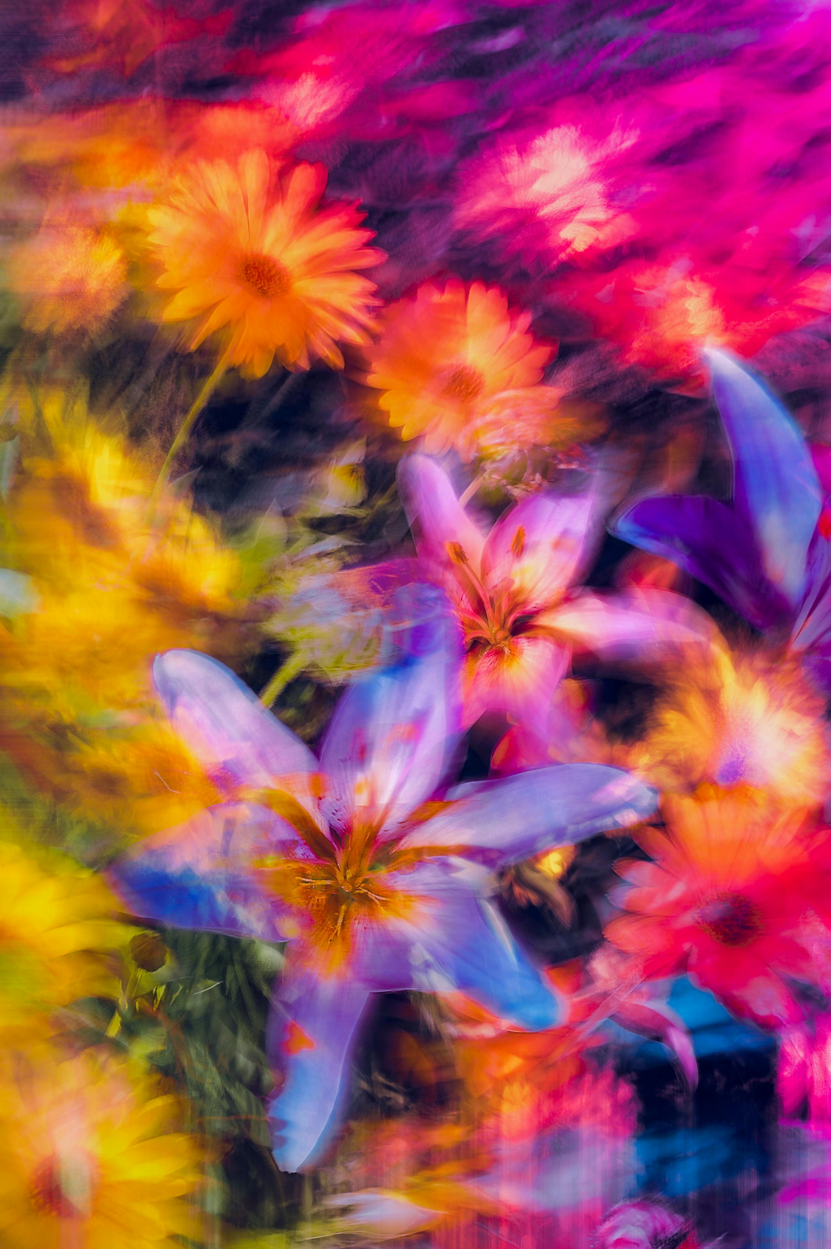 A colorful abstract of blooming flowers with dynamic motion blur captures the essence of spring.