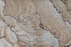 Sandstone texture by CHRISTIAN HEMBERT on Pexels