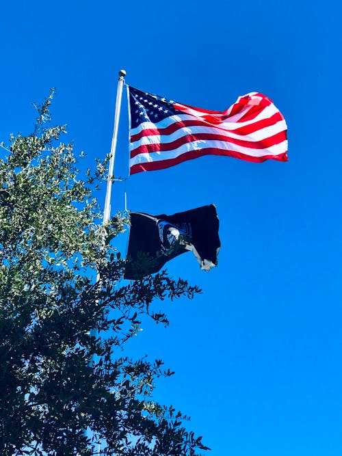 Free stock photo of american flag, patriotic, pow flag