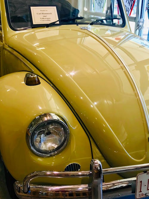 Free stock photo of car show, vintage car, volkswagen beetle