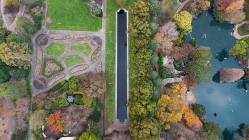 Top View of the Ponds and Trees of a Park