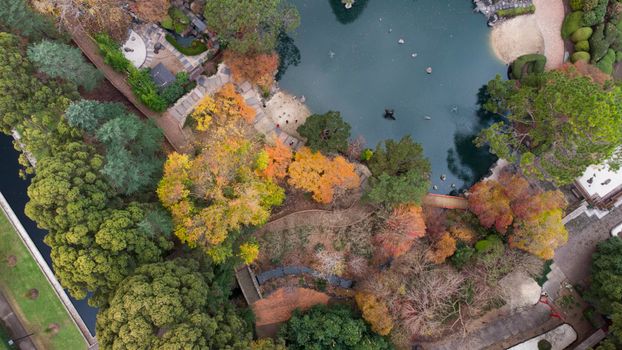 Stunning aerial view of a vibrant autumn park with a serene lake in Auburn, NSW.