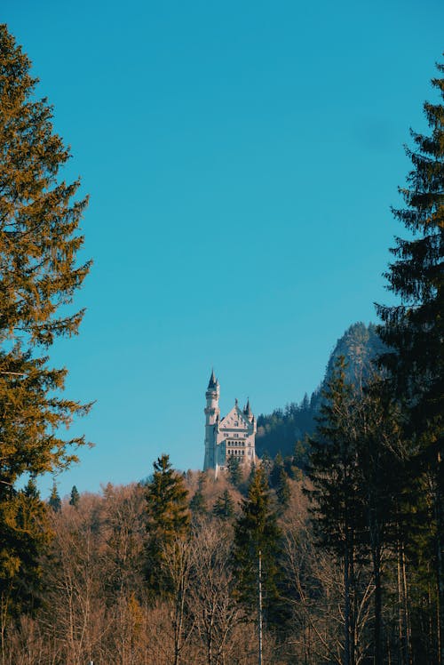 Neuschwanstein Castle Behind the Forest, Hohenschwangau, Germany