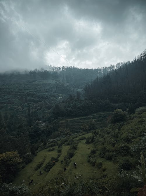 Mountain Under Overcast Sky