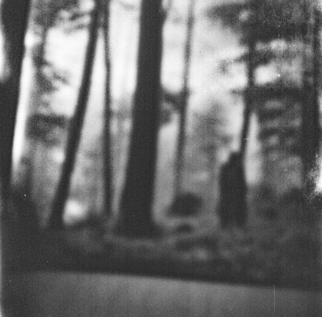 gothic americana mix 2026 best dark country folk noir