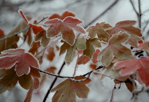 Nearly 98M Americans Feel Early Fall Chill This Week