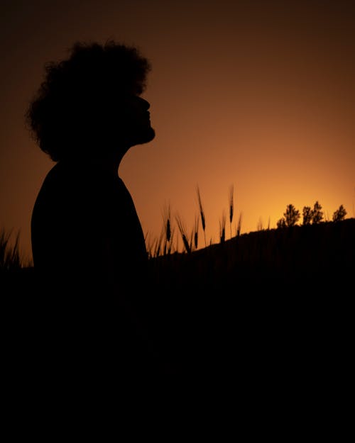 Silhouette of Man on a Field During Sunset 