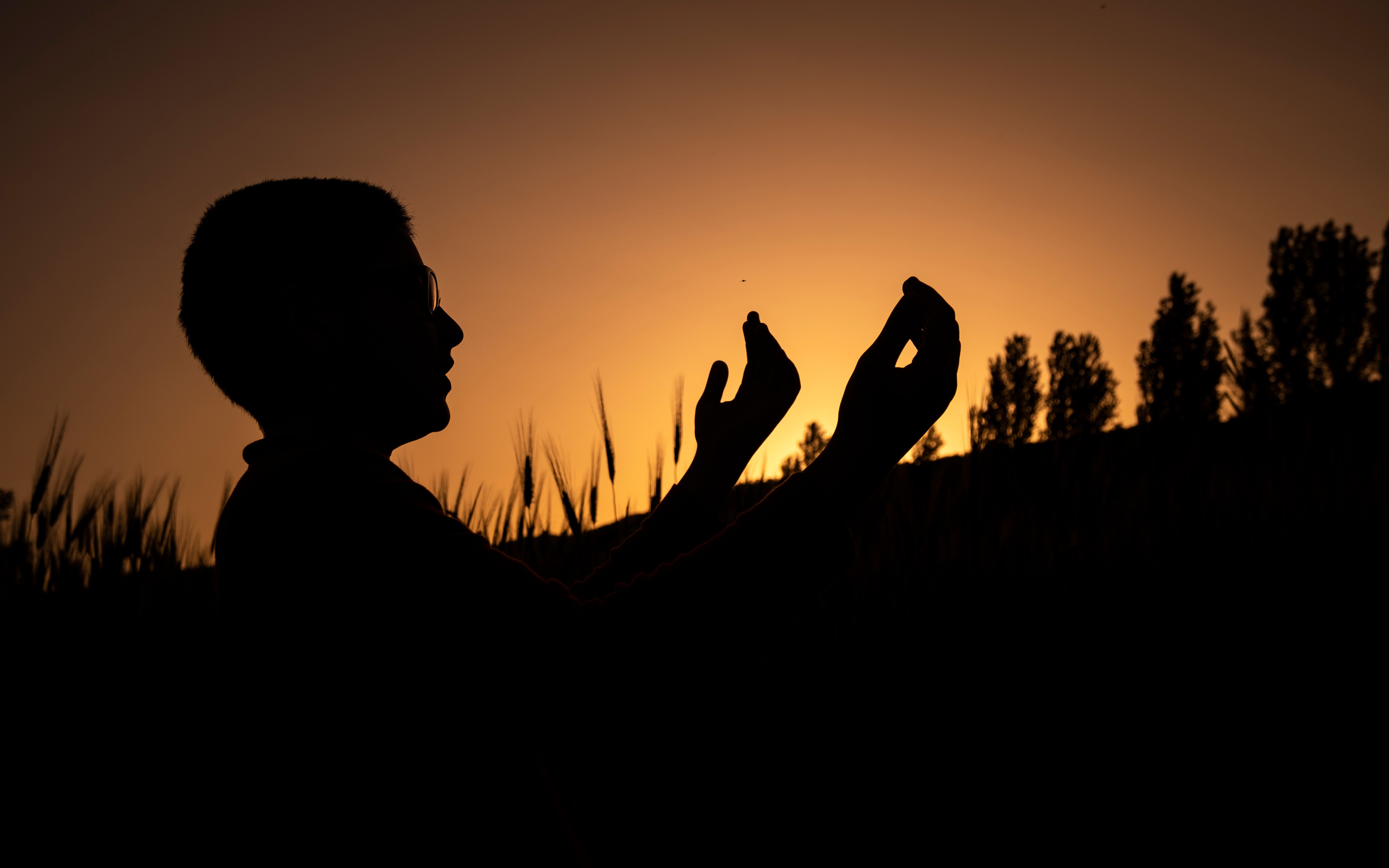 Silhouette of Man on a Field During Sunset · Free Stock Photo