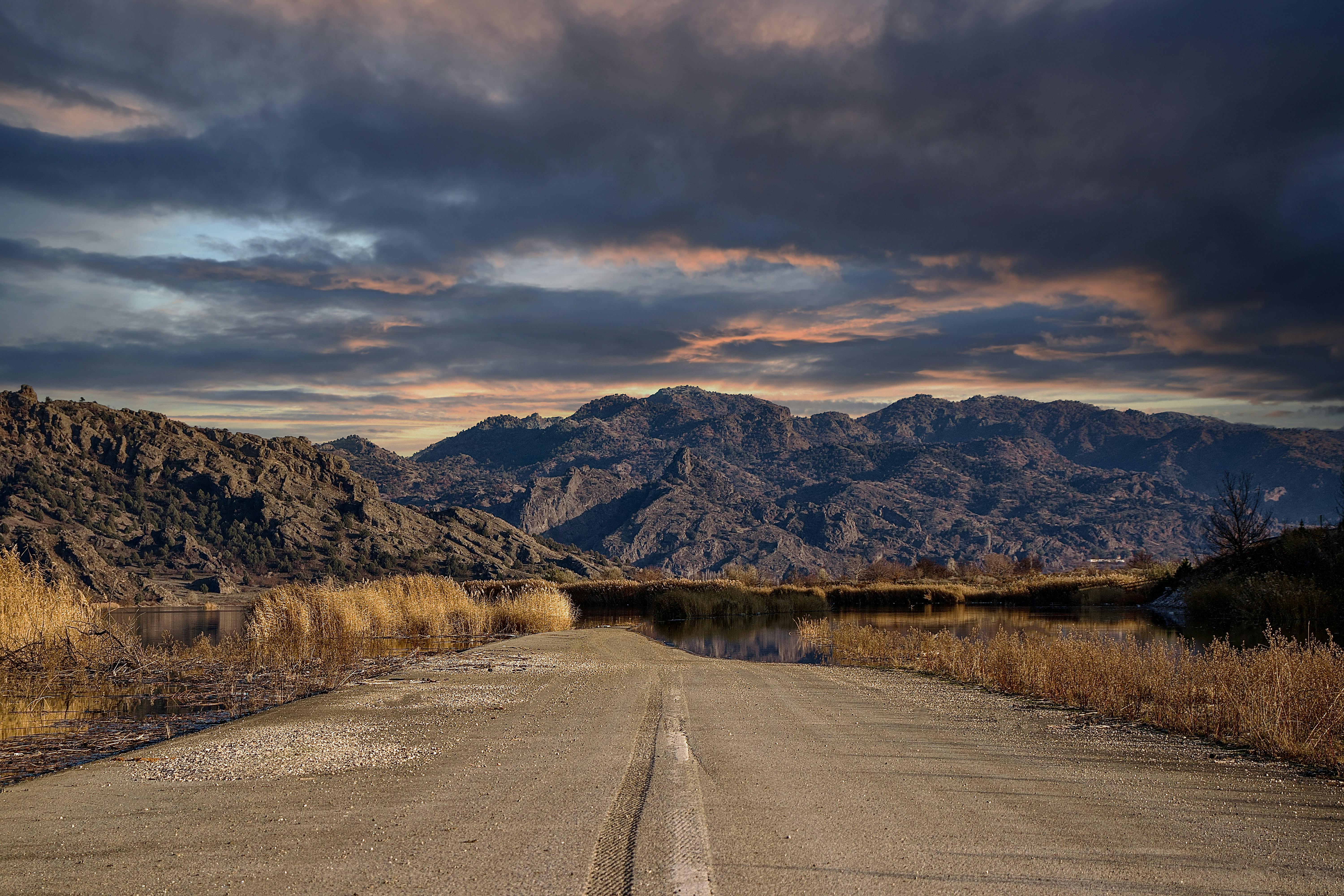 Empty Plater Photos, Download The BEST Free Empty Plater Stock Photos