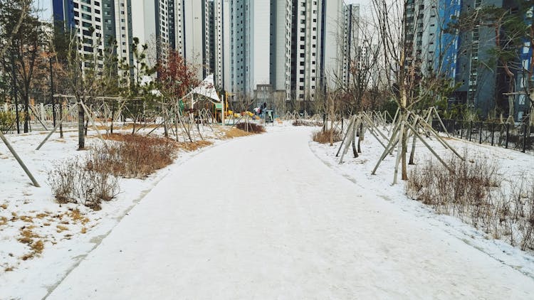 Snow Covered Pathway