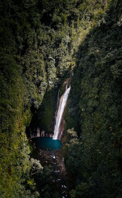 Foto profissional grátis de cachoeira, cachoeira escondida tesoro, costa rica