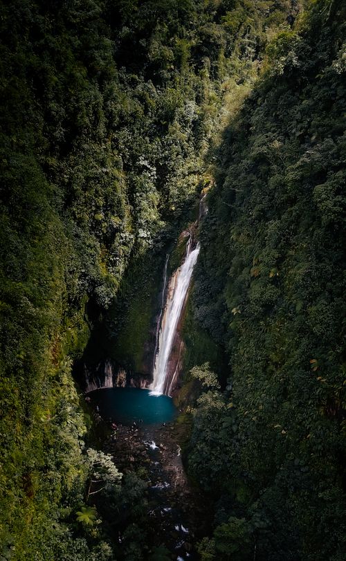 Free A breathtaking aerial shot of Tesoro Escondido Waterfall surrounded by lush greenery in Costa Rica. Stock Photo