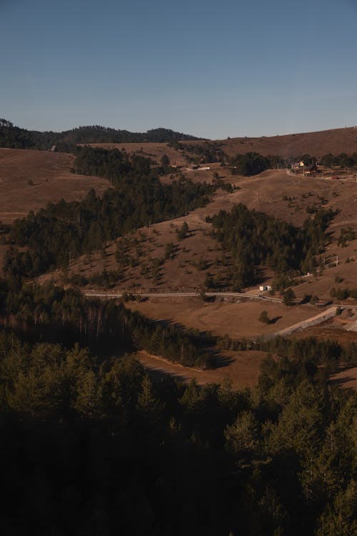 Fotos de stock gratuitas de arboles, cerros, cielo limpio