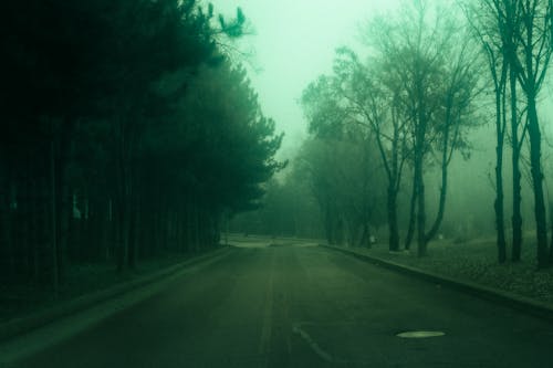 Fotobanka s bezplatnými fotkami na tému foggy krajina, hmla, hmlistý deň