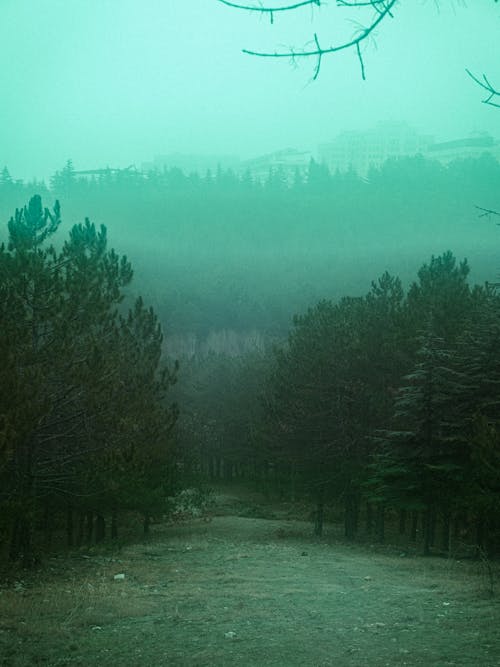 大雾天, 放弃, 放棄 的 免费素材图片