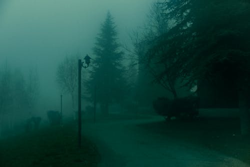 大雾天, 放弃, 放棄 的 免费素材图片