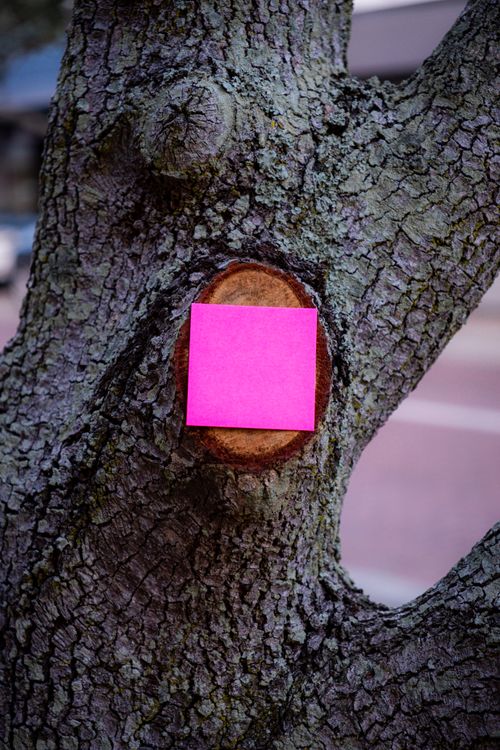 A pink post it note stuck to a tree · Free Stock Photo