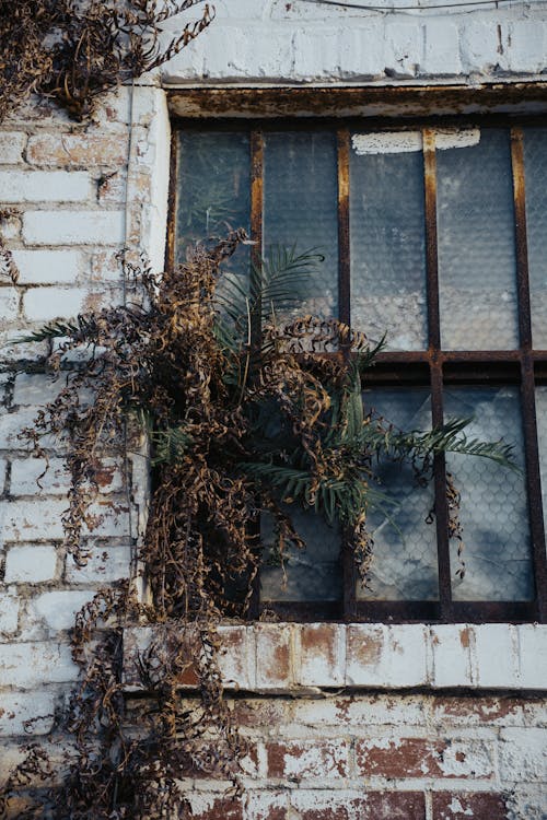 Foto profissional grátis de abandonado, construção, danificado