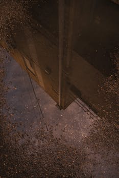Aesthetic reflection of a city building in a puddle capturing urban stillness and texture.