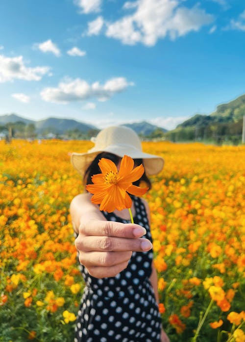 100.000+ melhores imagens de Papel De Parede 4k · Download 100% grátis ·  Fotos profissionais do Pexels