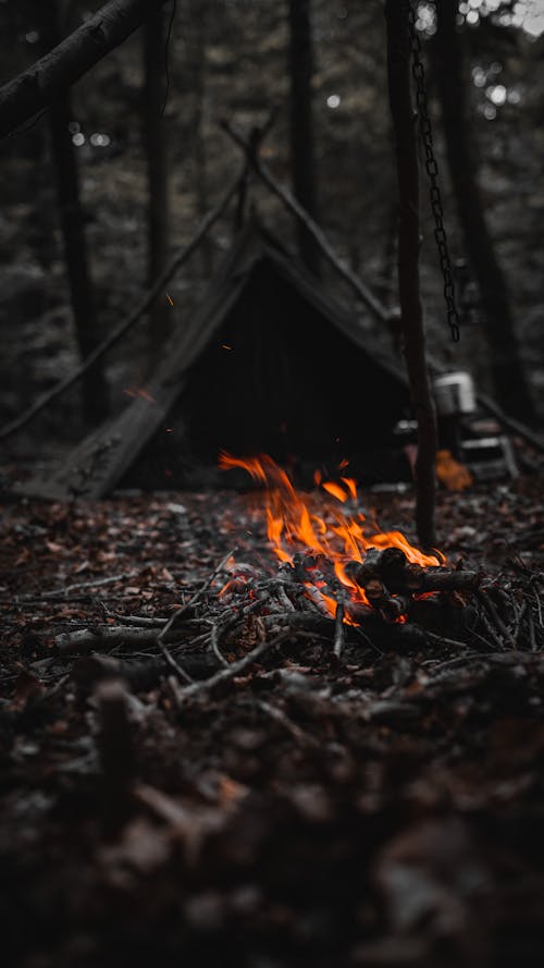 Bonfire near Black Tent in the Forest