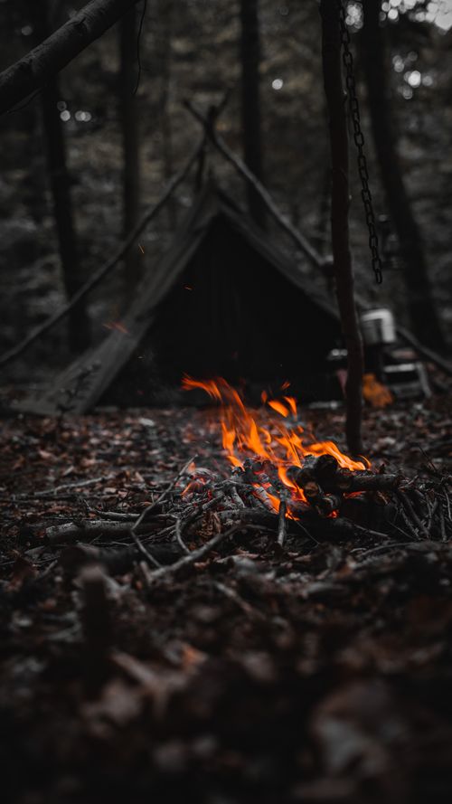 Free A campfire burns brightly at a forest campsite in Bolu, Turkey. Stock Photo