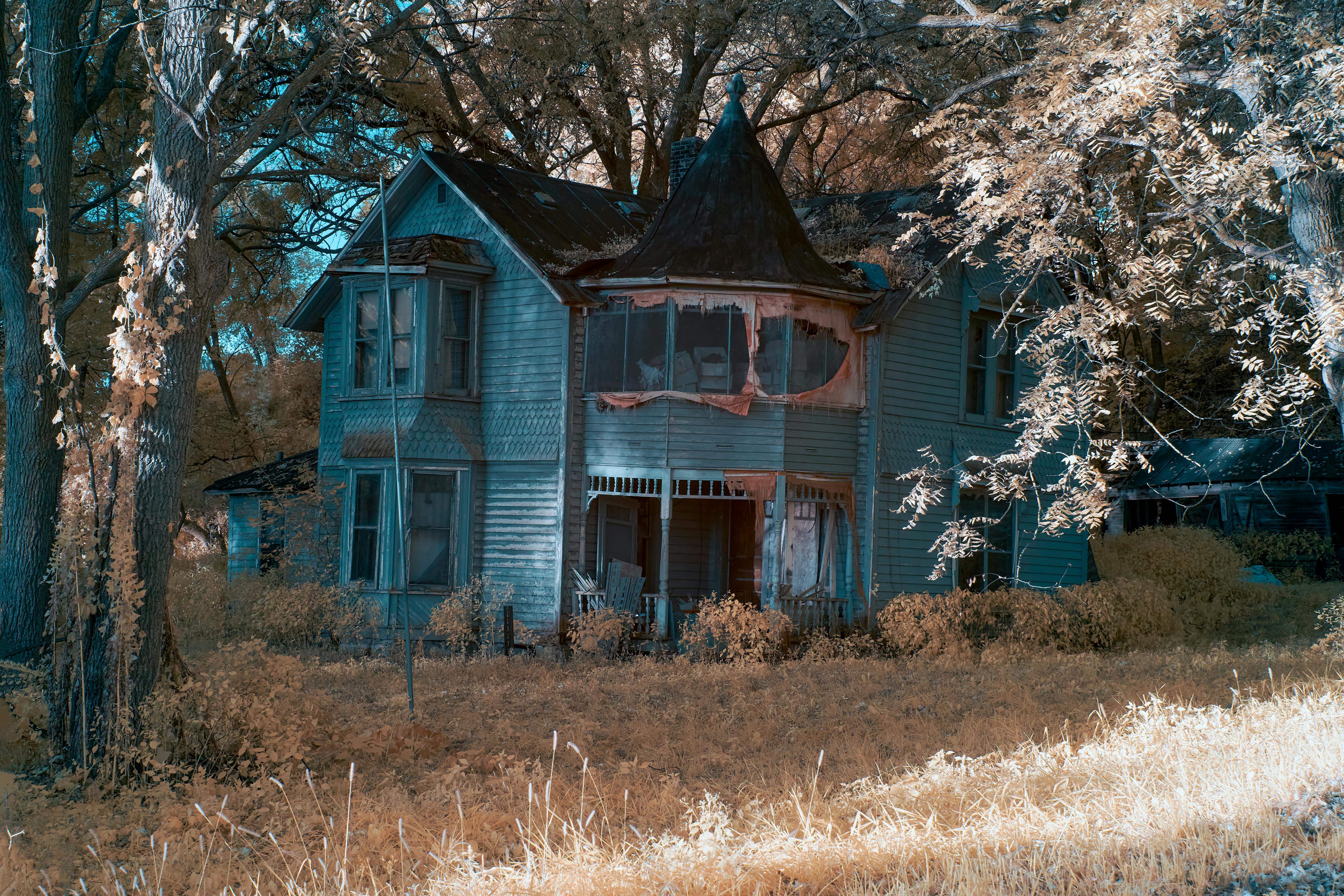 A luxorious retreat with a swimmingpool, in the middle of the jungle.