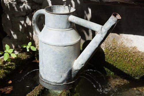 Immagine gratuita di acqua, acqua di rubinetto, annaffiatoio