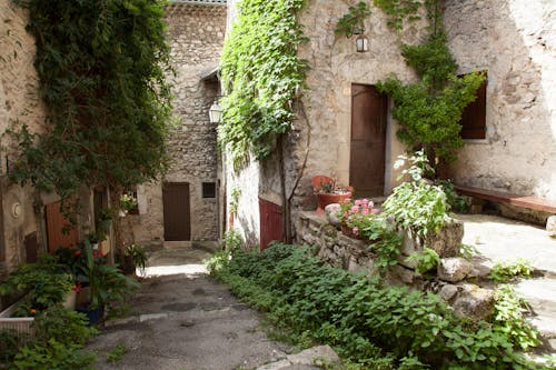 Quaint stone alleyway in Die, France, adorned with lush greenery and historic architecture.