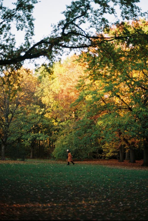 A Person Walking at a Park