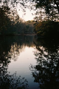 Calm lake reflecting autumn trees at twilight, creating a peaceful scene.